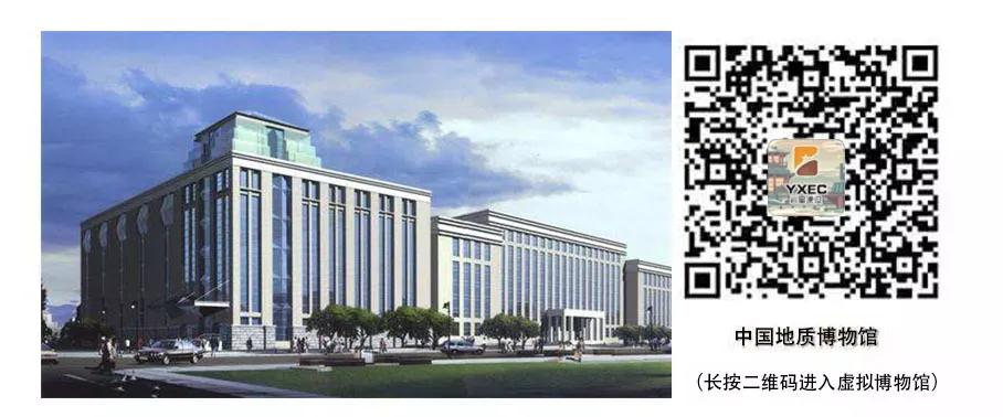 巖星建設(shè)丨線上博物館，感受不一樣的傳承插圖(1)