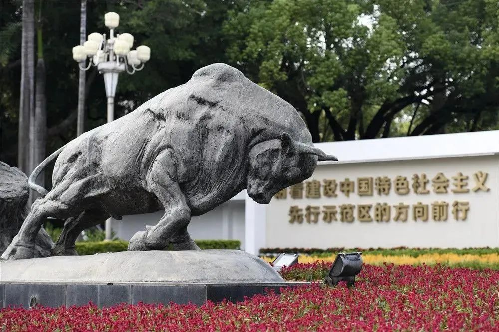 “深圳企業(yè)家日”，以城市之名致敬企業(yè)家插圖(1)
