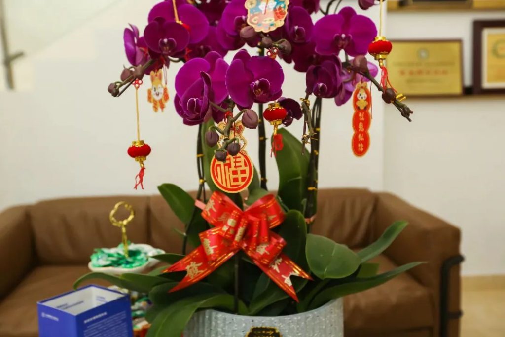 星之聲 | 新開序章，揚(yáng)帆起航！插圖(2)